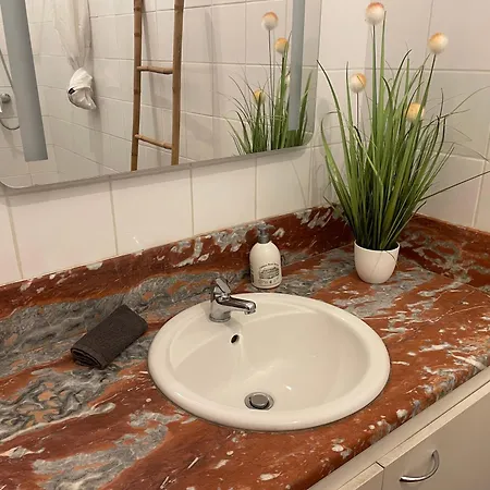 Insolite - Dans Bibliotheque